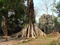 Angkor Ta Prohm P0175